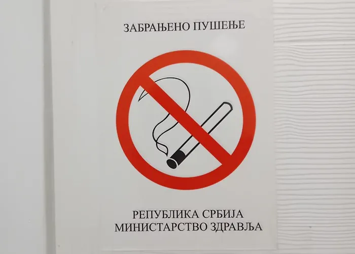 IV Skadarlija